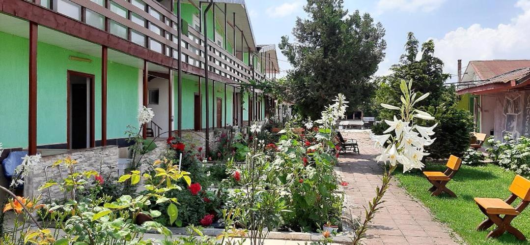 Отель Casa Bucuria Костинешти Экстерьер фото